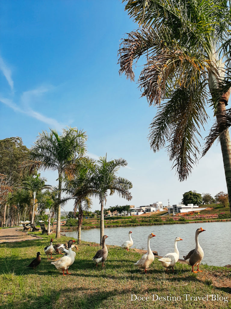 Riviera de Santa Cristina XIII/SP: onde fica, como alugar casas para temporada e fotos!