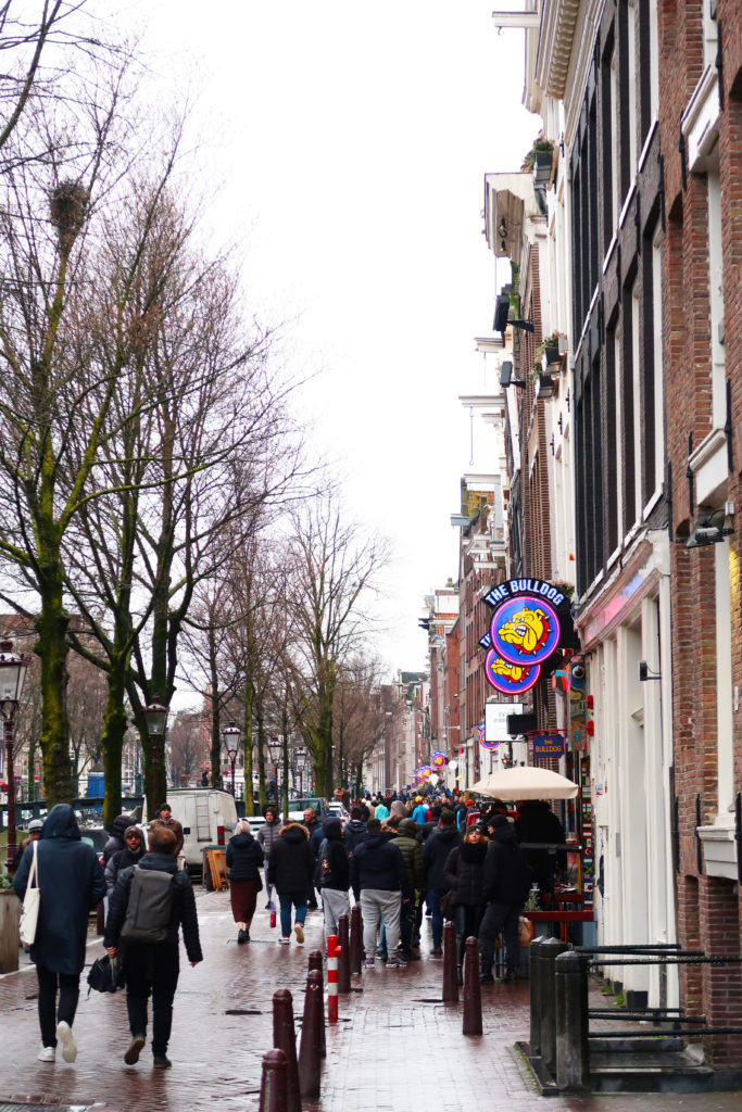 Amsterdam entre Bicicletas, Canais e Coffee shops: Dicas e roteiros tops!