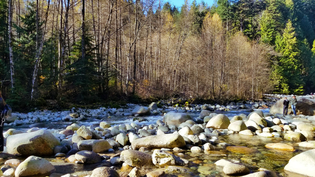 O que fazer em Vancouver no Canadá: 12 atrações INCRÍVEIS de graça ou acessíveis!