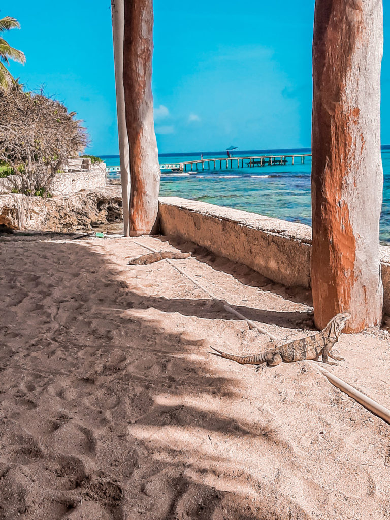 Playa Del Carmen no caribe mexicano. O que fazer e dicas de viagem.