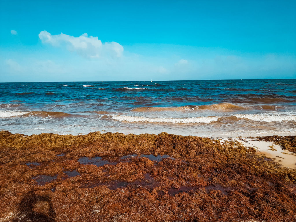 Playa Del Carmen no caribe mexicano. O que fazer e dicas de viagem.