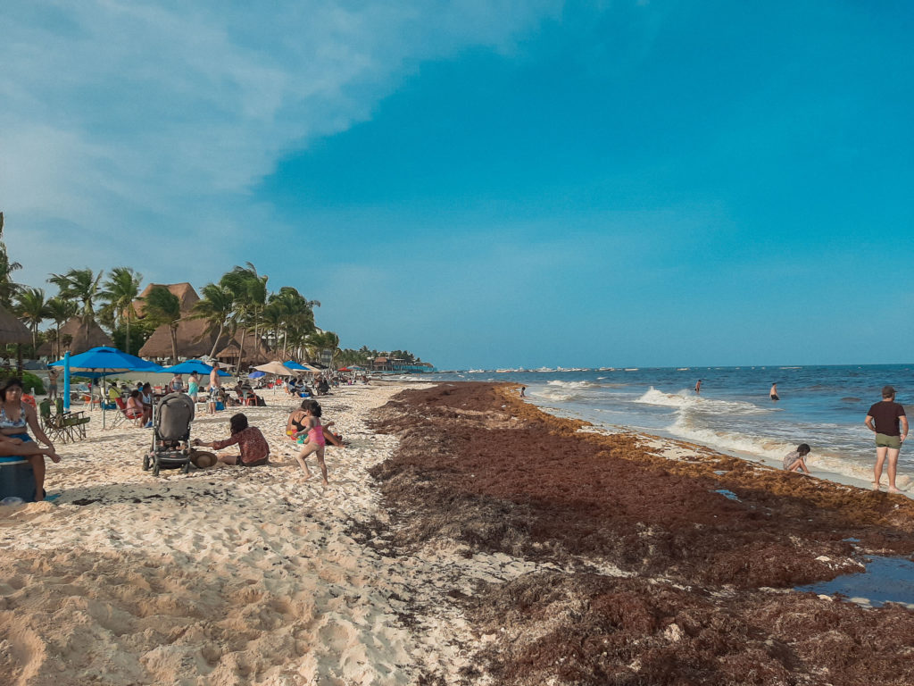 8 coisas para fazer em Playa Del Carmen, Cancún e Tulum na época de Sargaço.