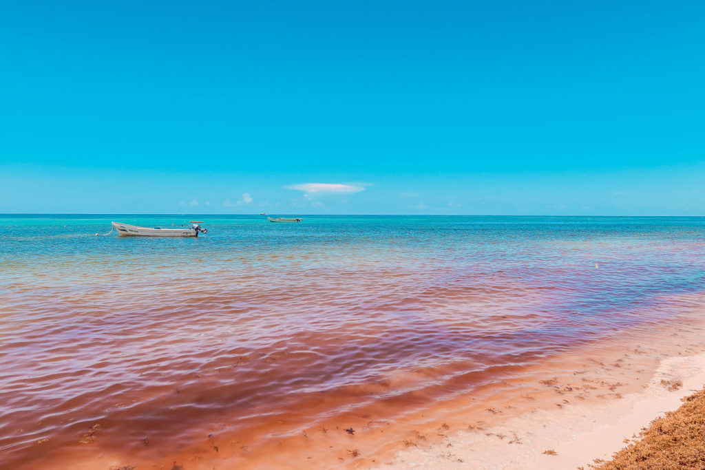 8 coisas para fazer em Playa Del Carmen, Cancún e Tulum na época de Sargaço.