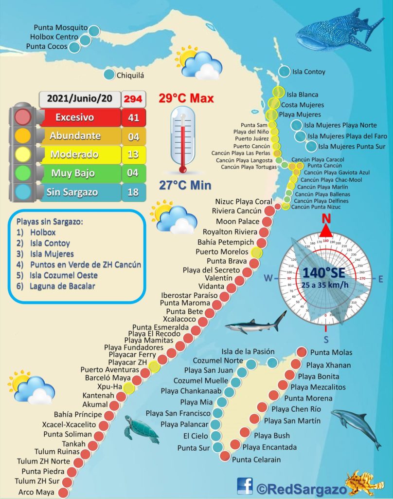 8 coisas para fazer em Playa Del Carmen, Cancún e Tulum na época de Sargaço.