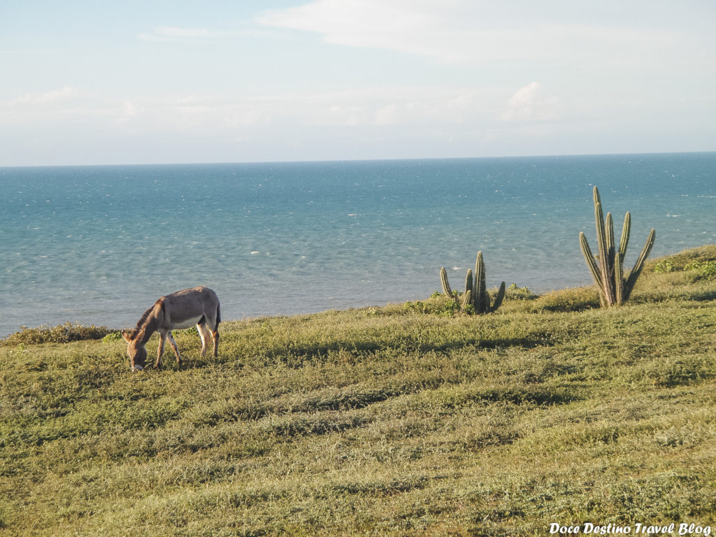 Fortaleza no Ceará: passeios, hotéis, praias e todas as dicas.