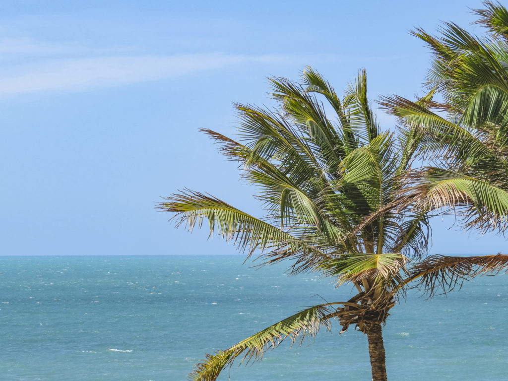 Fortaleza no Ceará: passeios, hotéis, praias e todas as dicas.