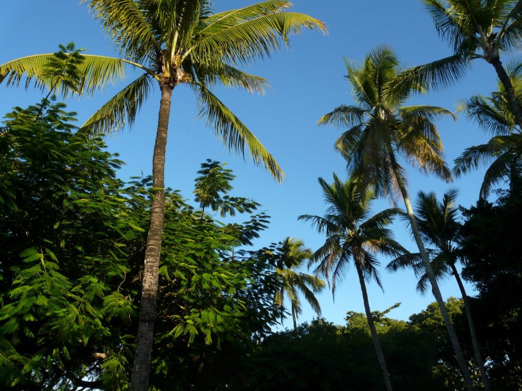 Onde se hospedar em Trancoso na Bahia. Confira as melhores pousadas de charme.