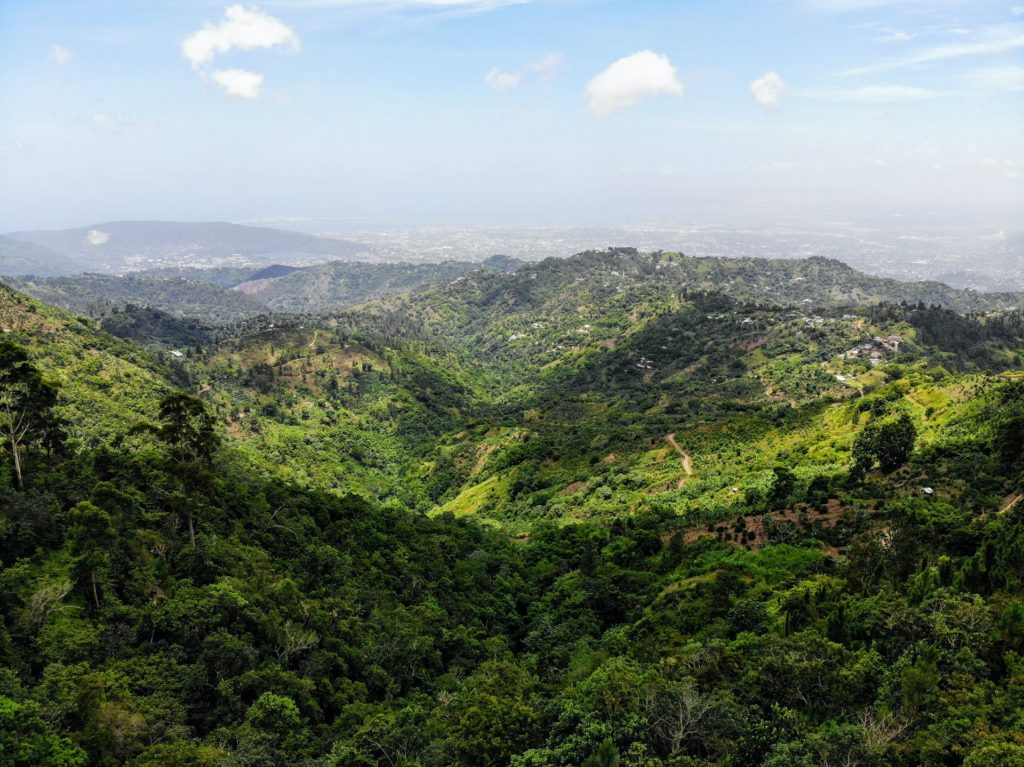 Jamaica, a pérola do Caribe. Tudo que você precisa saber antes de viajar.