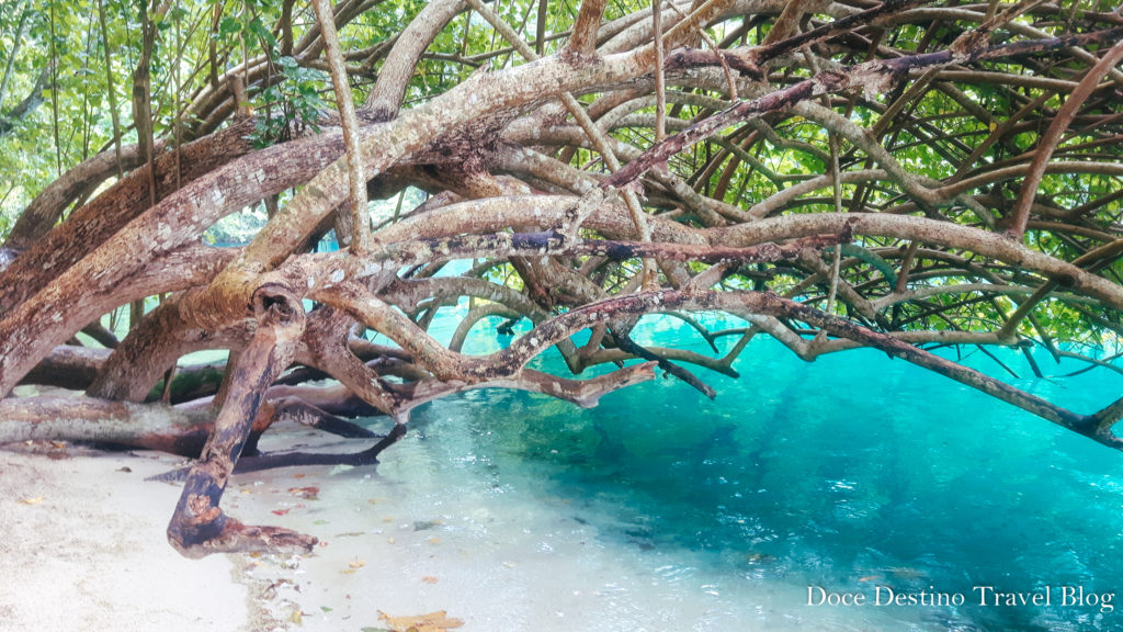 Jamaica, a pérola do Caribe. Tudo que você precisa saber antes de viajar.