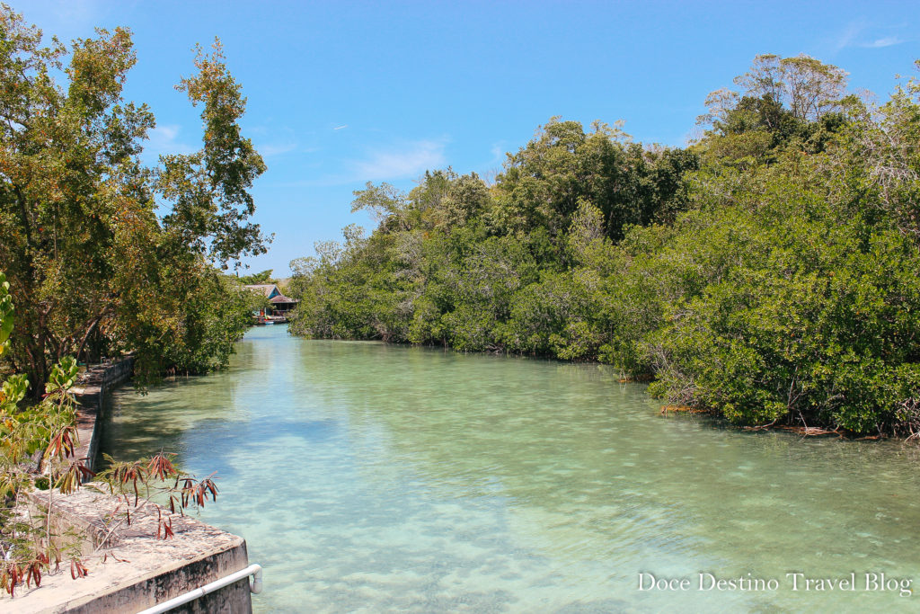 Dicas de viagem para Ocho Rios na Jamaica: o que fazer e onde se hospedar. Saiba tudo!