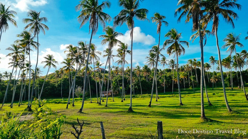 São Miguel dos Milagres – AL. Todas as dicas desse paraíso alagoano de águas quentinhas.