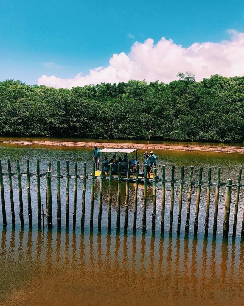 São Miguel dos Milagres – AL. Todas as dicas desse paraíso alagoano de águas quentinhas.