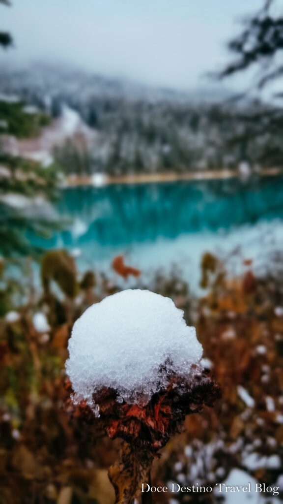 Tudo que você precisa saber sobre as Rocky Mountains no Canadá