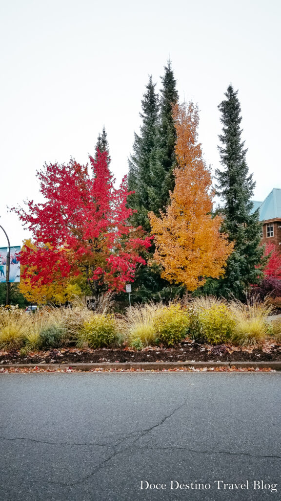 O que fazer em Whistler em 1 dia. Descubra o Encanto das Montanhas Canadenses.