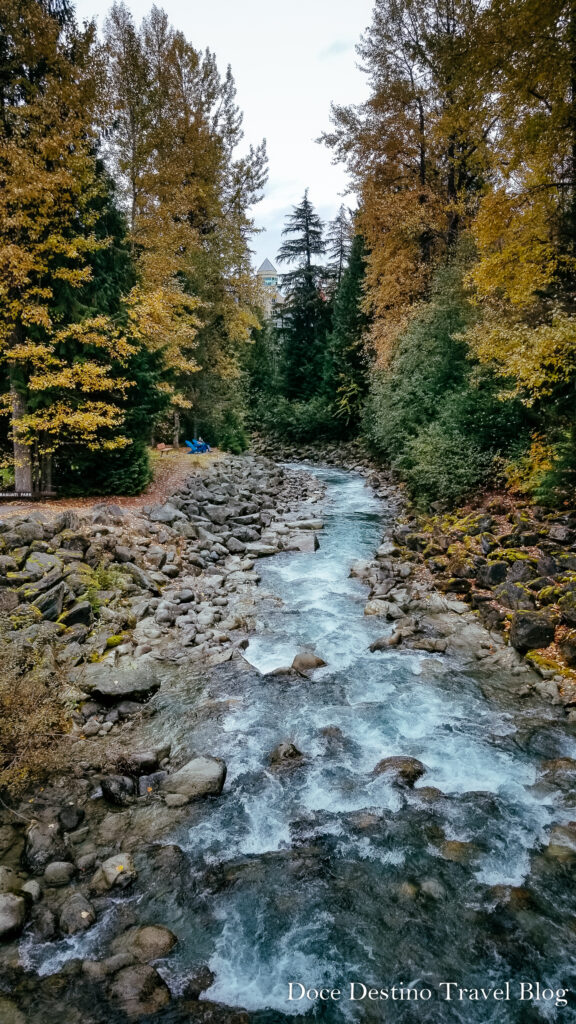 O que fazer em Whistler em 1 dia. Descubra o Encanto das Montanhas Canadenses.