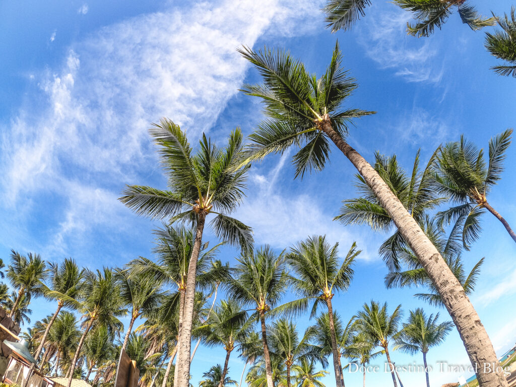 O Que Fazer em Maragogi - AL. Dicas Especiais para aproveitar o Caribe Brasileiro.