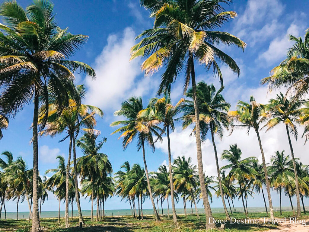 Porto de Galinhas |PE - os melhores passeios, restaurantes e hotéis para aproveitar o paraíso.