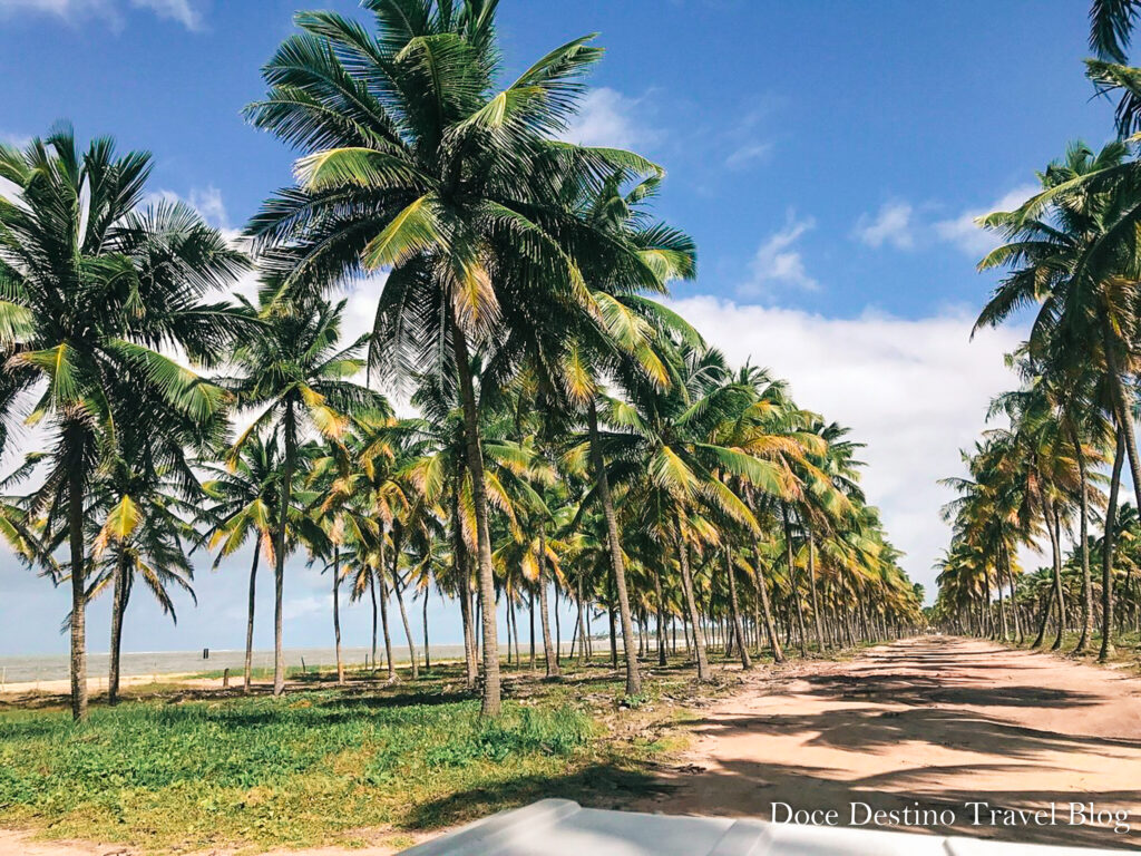 Porto de Galinhas |PE - os melhores passeios, restaurantes e hotéis para aproveitar o paraíso.