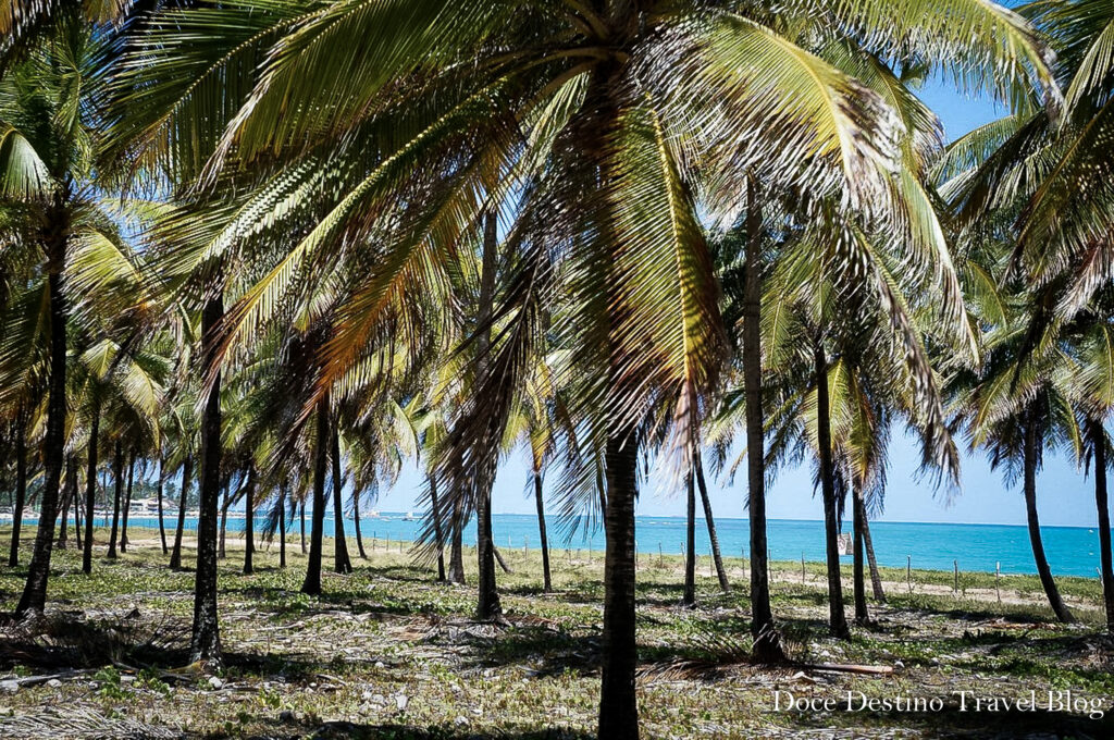 Porto de Galinhas |PE - os melhores passeios, restaurantes e hotéis para aproveitar o paraíso.