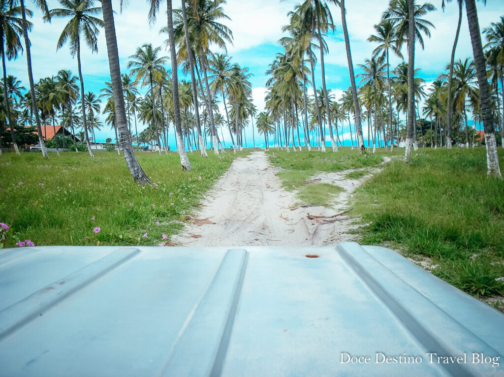 Porto de Galinhas |PE - os melhores passeios, restaurantes e hotéis para aproveitar o paraíso.